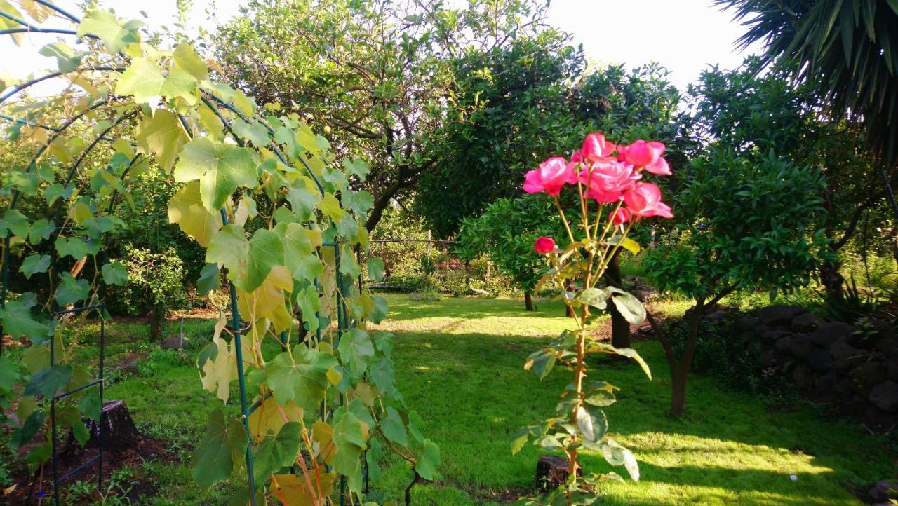 B&B Casanera Riposto Luaran gambar