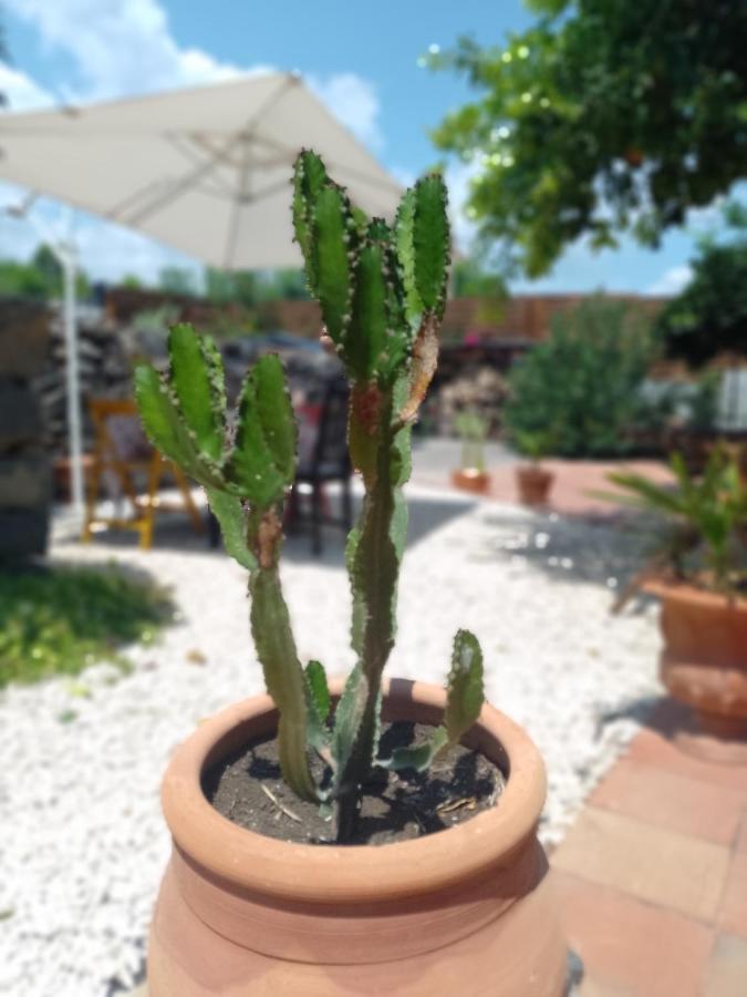 B&B Casanera Riposto Luaran gambar