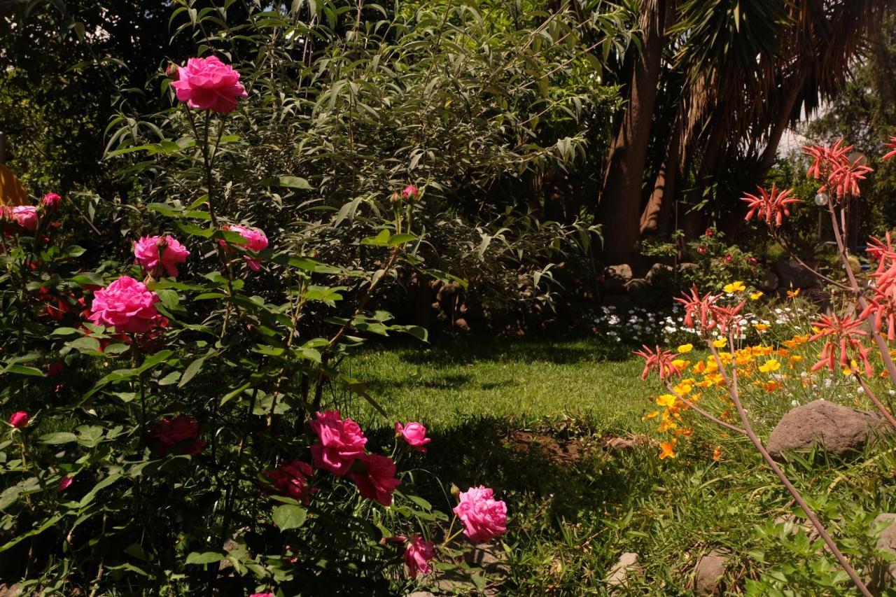 B&B Casanera Riposto Luaran gambar