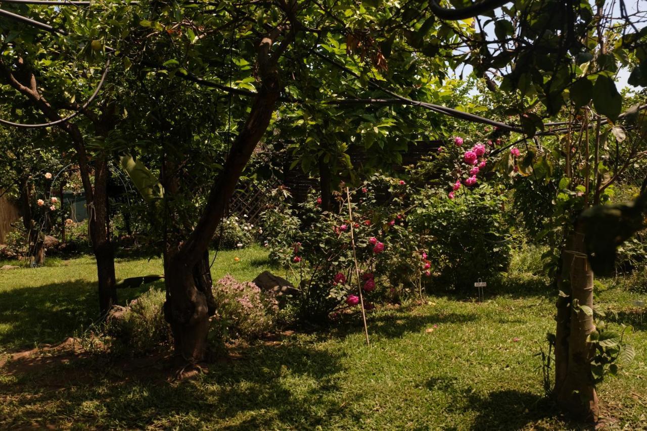 B&B Casanera Riposto Luaran gambar