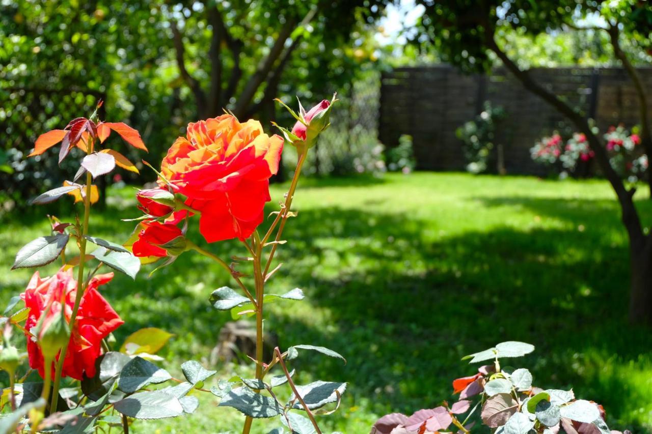 B&B Casanera Riposto Luaran gambar